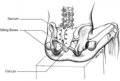 alexander-technique-london-for-improved-posture.jpg