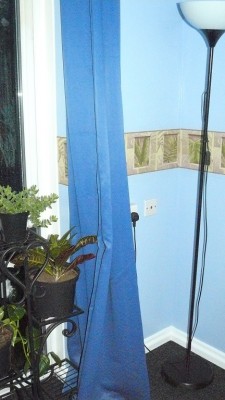 frontroom and drobes 11 04 23 008.JPG