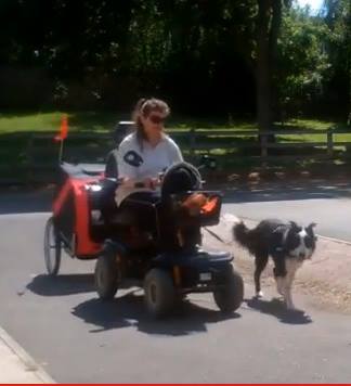 first ride in chariot.jpeg